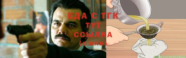гидра Бородино