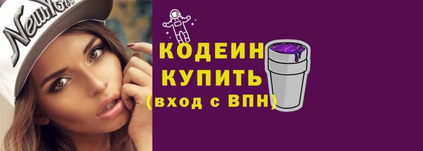 гидра Бородино