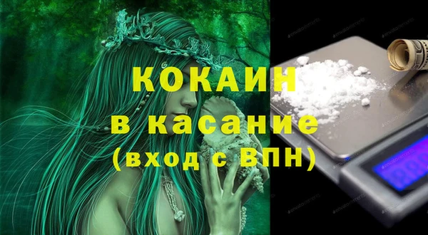 гидра Бородино