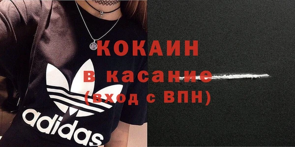 сатива Бронницы