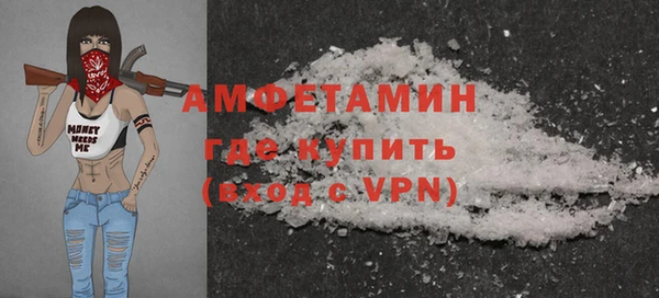 гидра Бородино