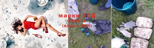 гидра Бородино
